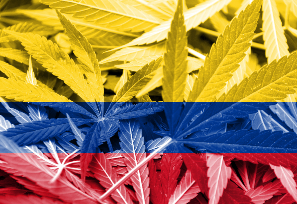Colores de la bandera colombiana sobre fondo de cannabis