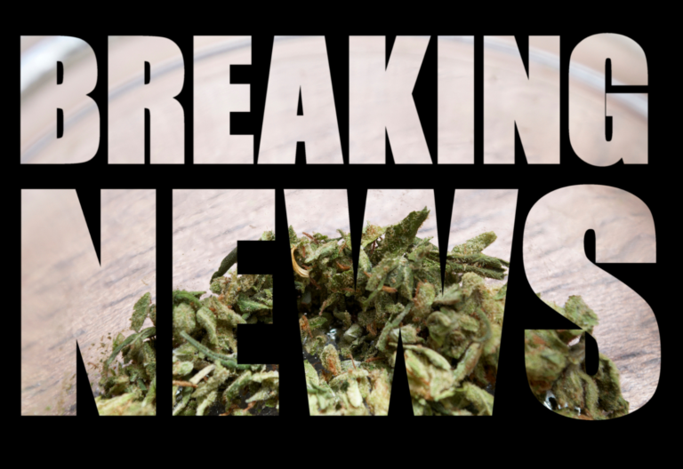 arizona breaking news graphic with cannabis in background