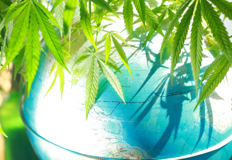 Is the Global Shift to the Right Threatening International Cannabis Reforms?