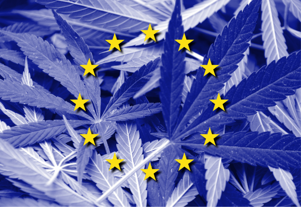 unión europea cannabis cbd