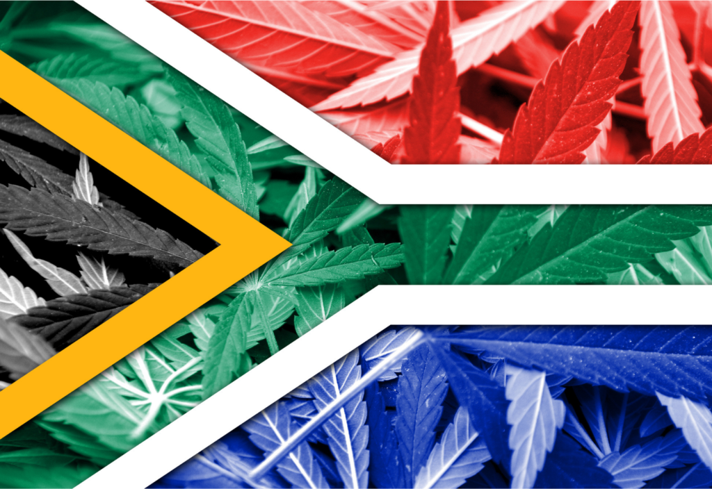 Sudáfrica cannabis marihuana cbd