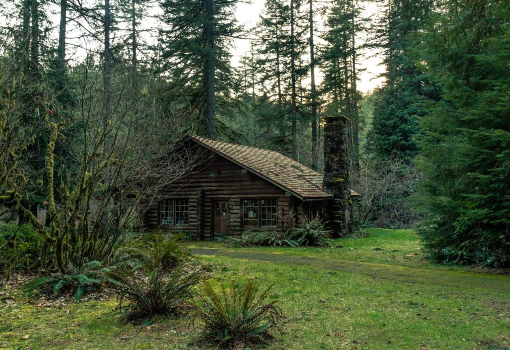 A rustic log cabin with a stone chimney is surrounded by dense forest and greenery.