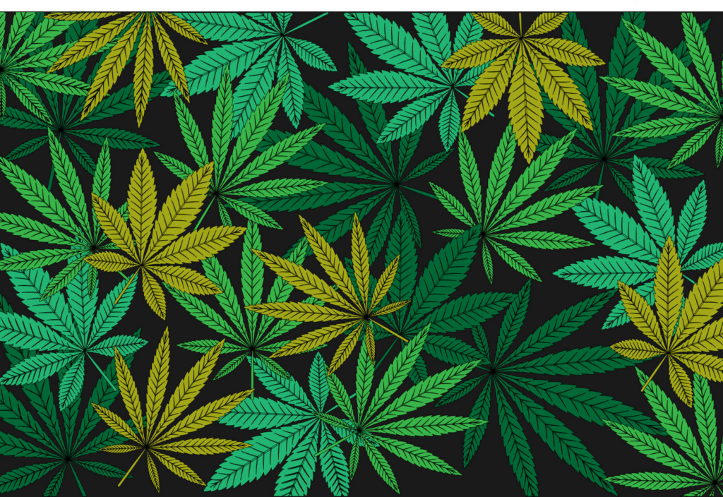 cannabisandwebcrossover