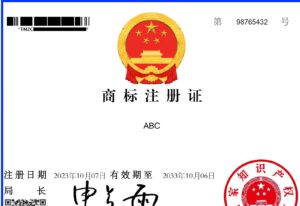 A mock-up of a Chinese personal registration identification card.