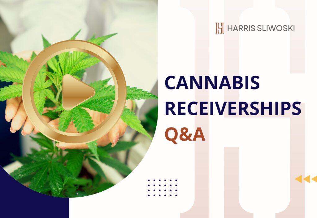 Close-up of hands holding a cannabis plant next to text reading "Harris Sliwoski Cannabis Receiverships Q&A," and a play button icon.