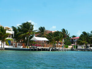 Waterfront buildings with palm trees line a wooden dock along clear blue water under a bright sky, as Caye Caulker looks ahead to the 2025 cannabis referendum.