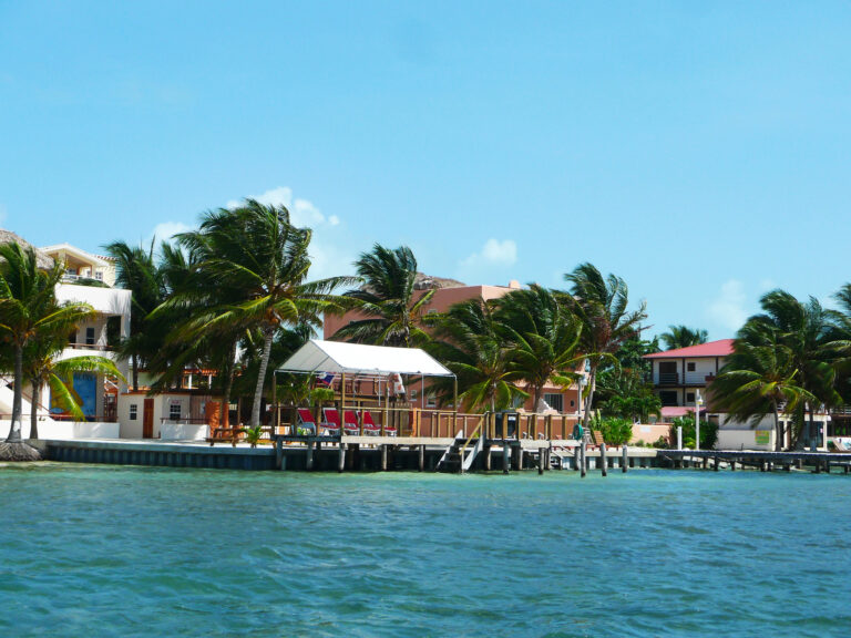 Waterfront buildings with palm trees line a wooden dock along clear blue water under a bright sky, as Caye Caulker looks ahead to the 2025 cannabis referendum.