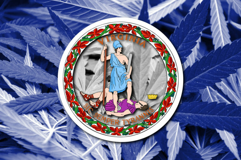 带有大麻植物的弗吉尼亚州旗