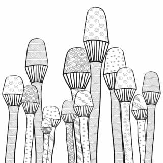 Oregon psilocybin psychedelic mushrooms