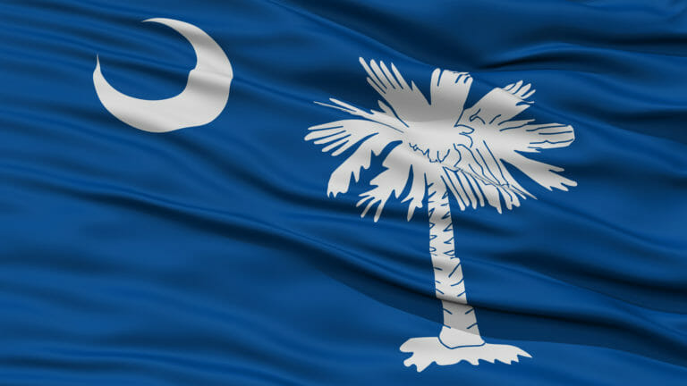 bandera del estado de carolina del sur