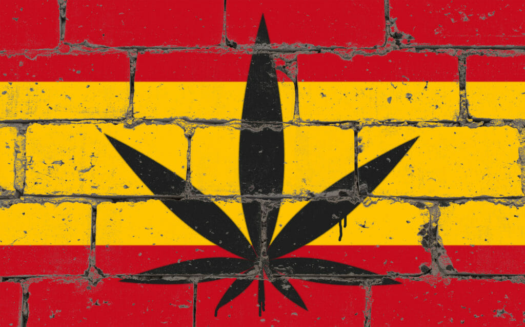 cannabis leaf on brick wall over a painting of the flag of Spain
