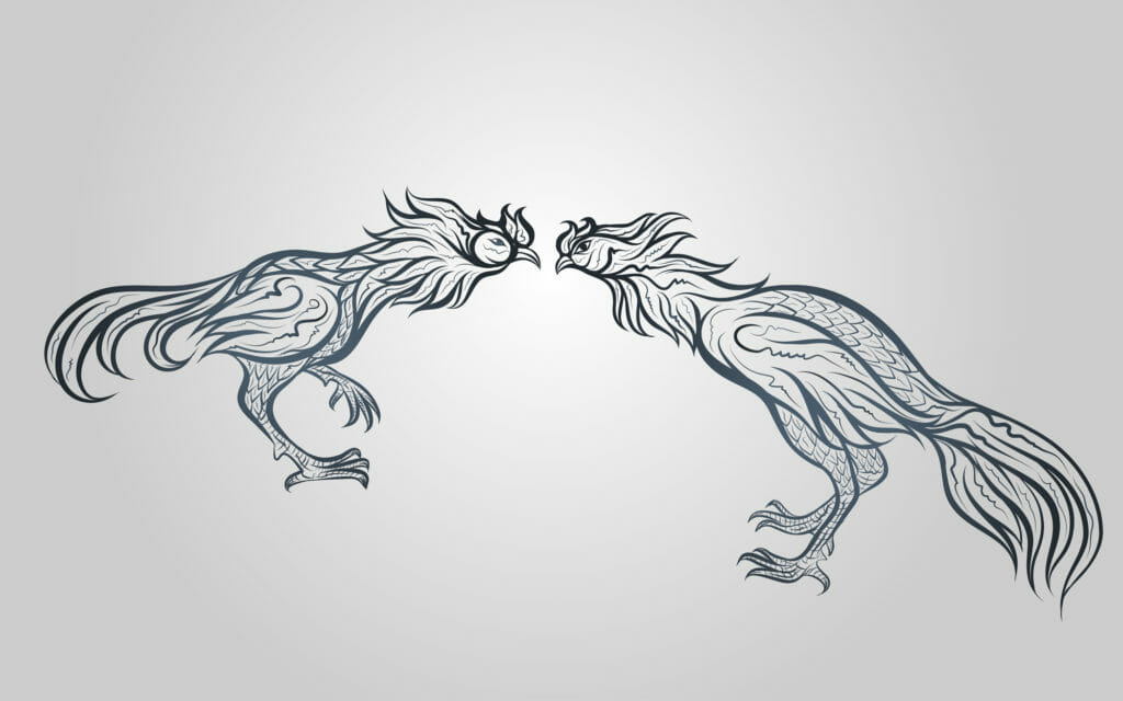 drawing of 2 fighting roosters