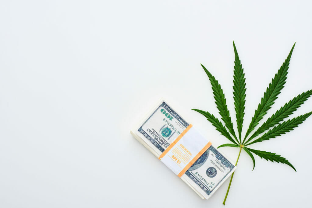 marijuana plant and stack of money