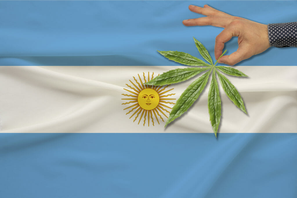 man holding cannabis leaf in front of Argentinian flag