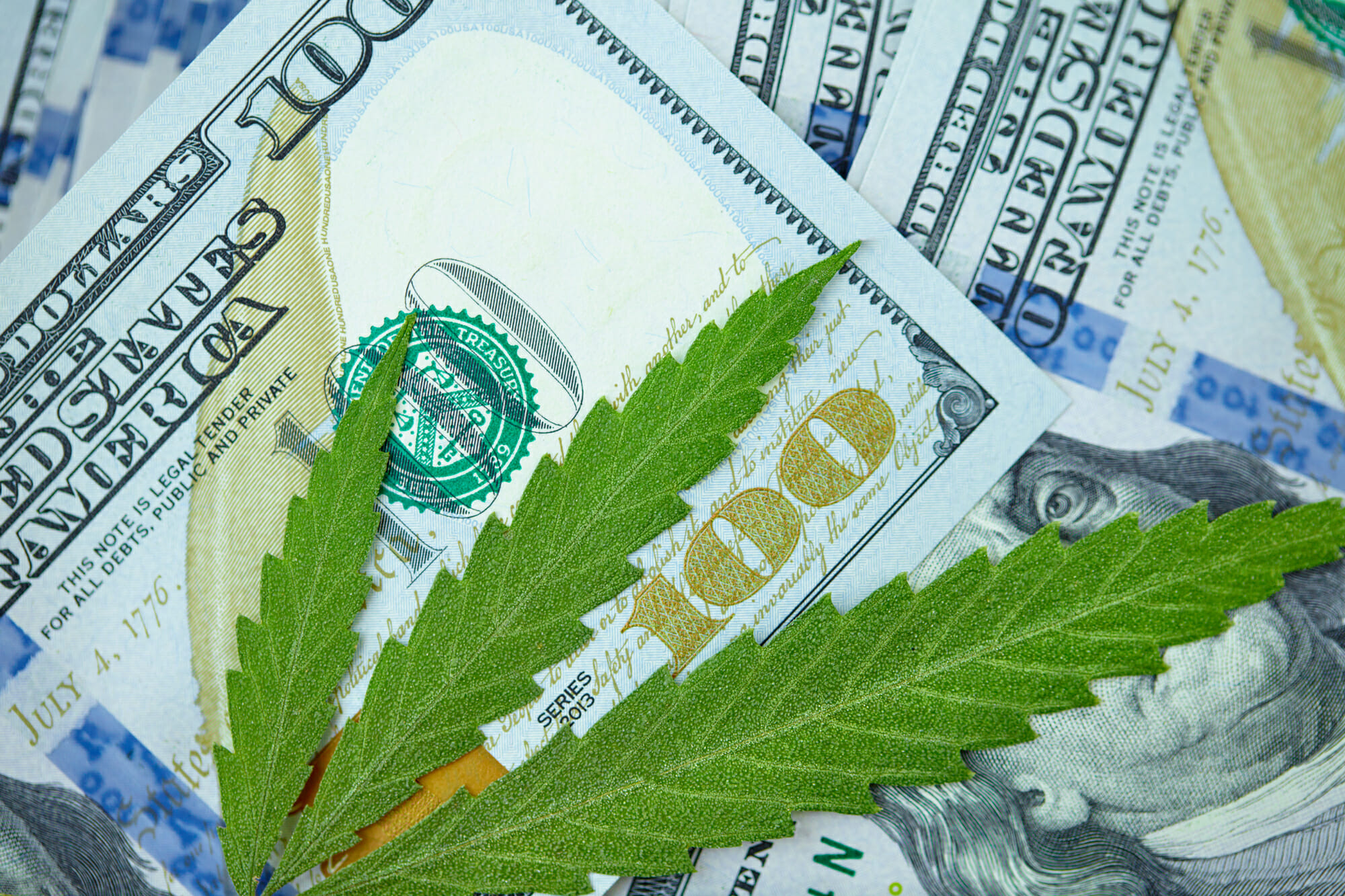 American one hundred dollar bills with cannabis leaves
