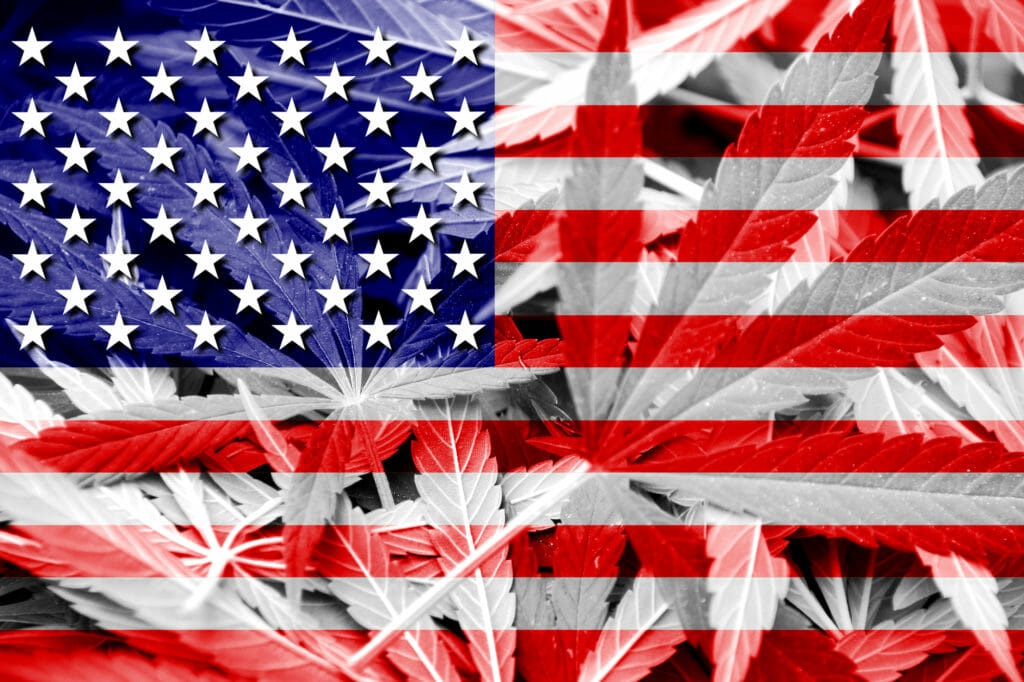 bandera americana con plantas de marihuana