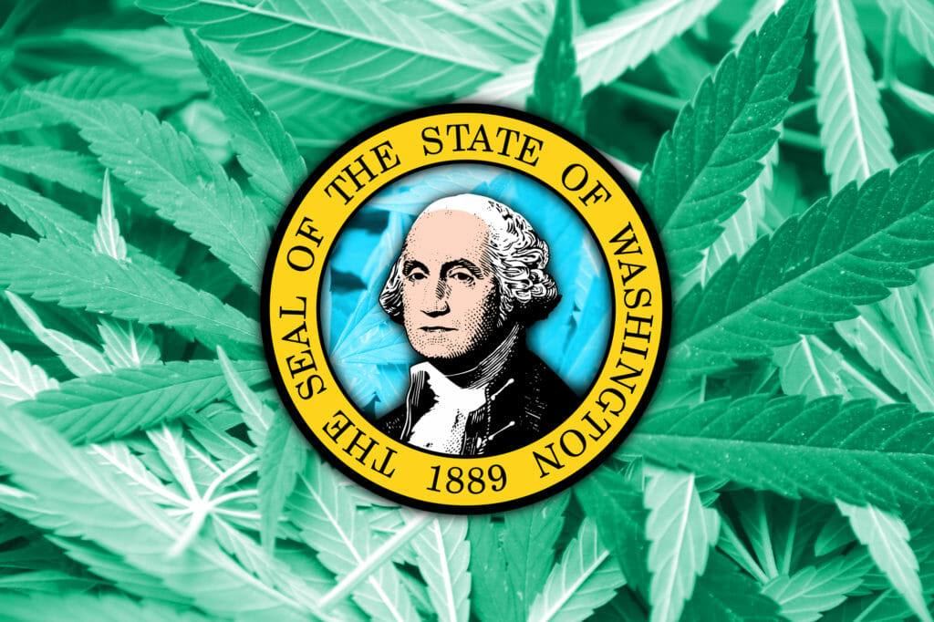 washington cannabis marijuana