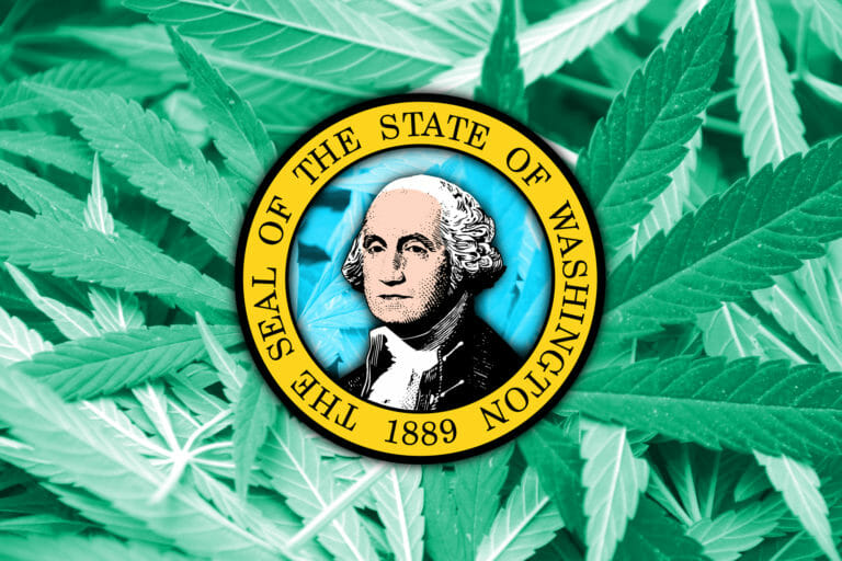 Washington state flag on a cannabis background