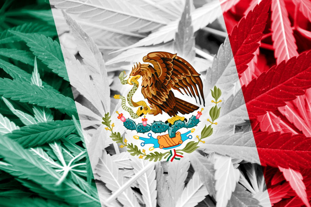 mexcio flag with marijuana plants