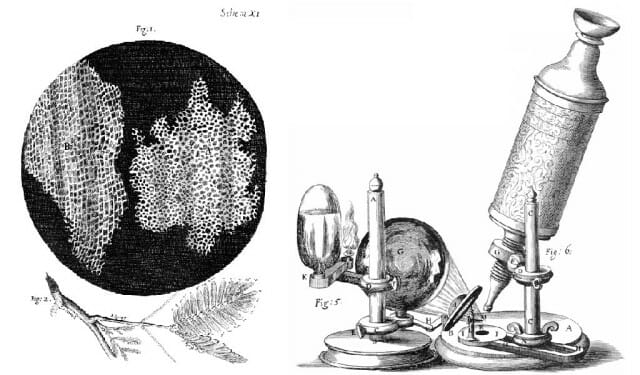 The Hooke microscope, which enabled him to see things clearly