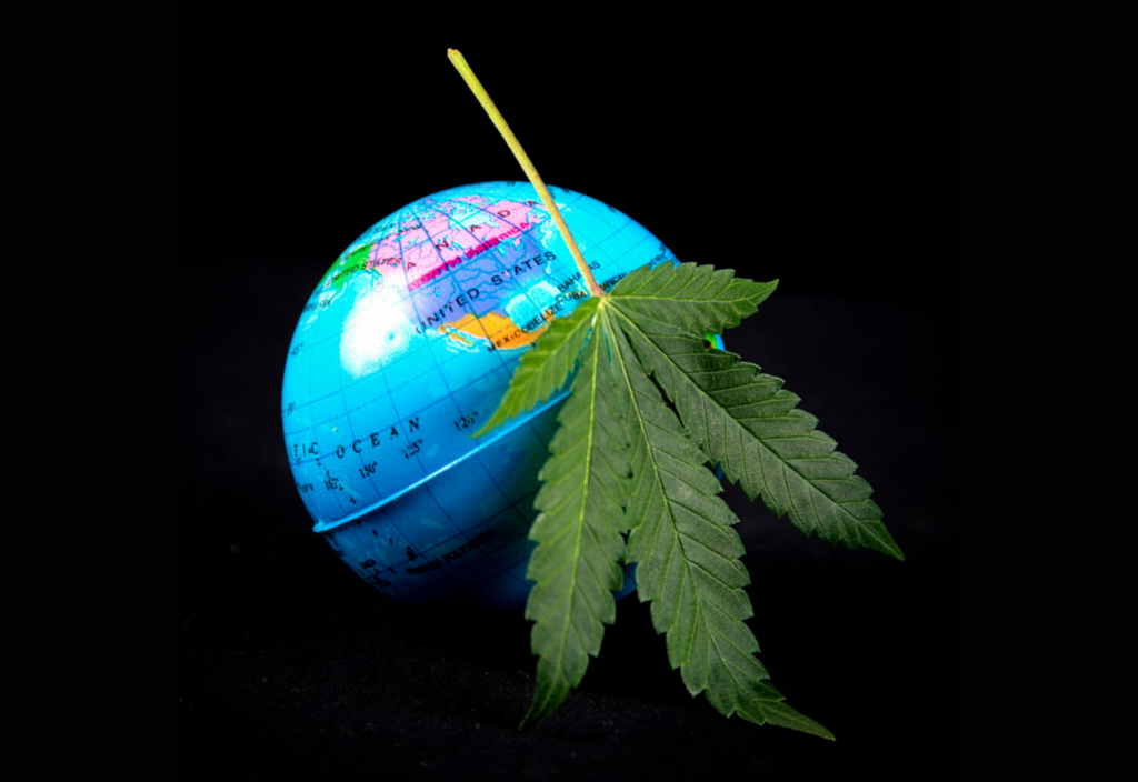 Las Naciones Unidas retiran el cannabis de la Lista IV de la Convención Única, con el apoyo de EE.UU.