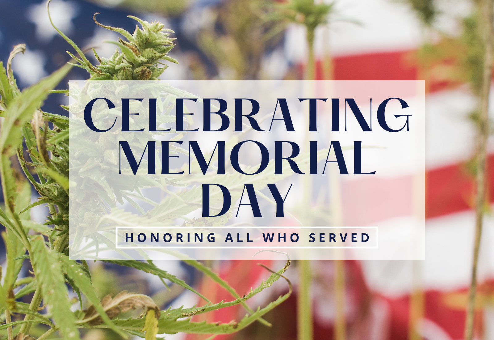 Memorial Day Honoring Those Who Served Canna Law Blog邃