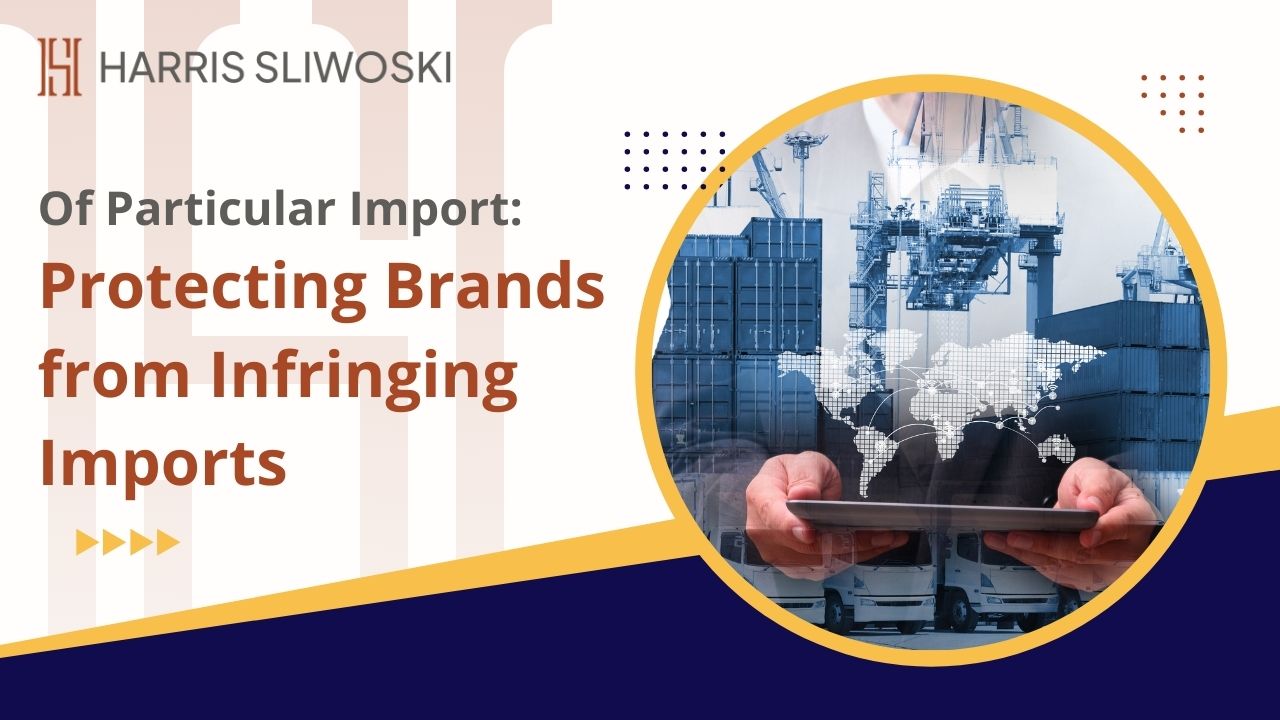 Of Particular Import: Protecting Brands from Infringing Imports