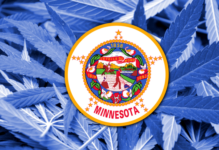 How to Acquire a Minnesota Cannabis License