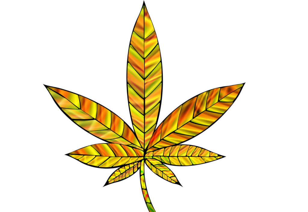 german cannabis marijuana
