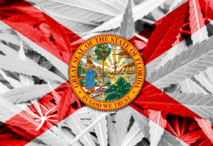 florida cannabis