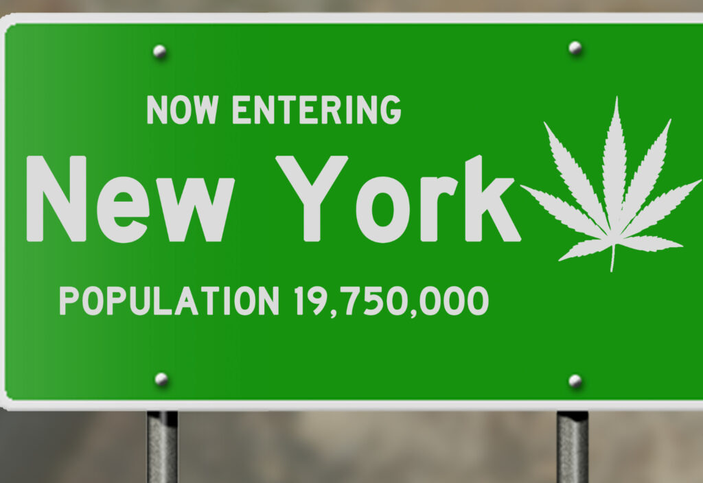 new york cannabis licensing