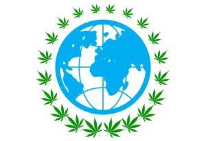 global cannabis law