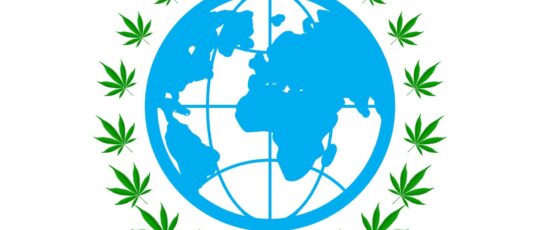 global cannabis law