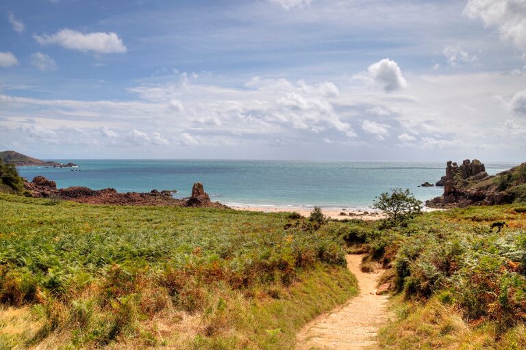 Jersey (Territory) Cannabis Reform Proposals: What Could Have Been, and What May Be–After The Election