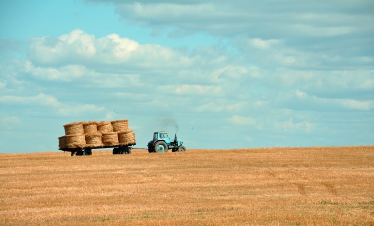 China agriculture