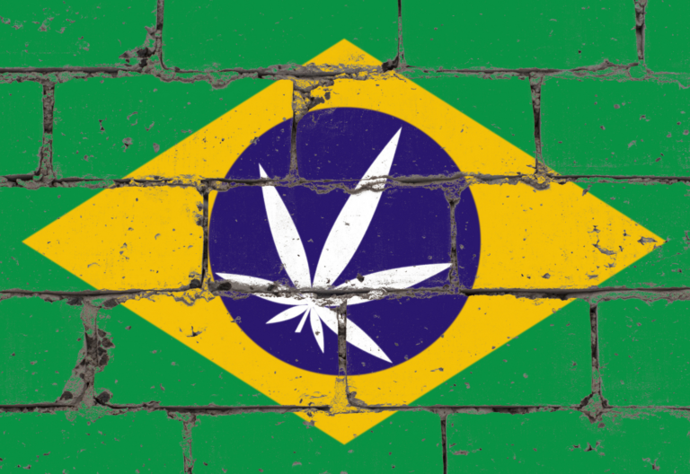 巴西 大麻 大麻制品