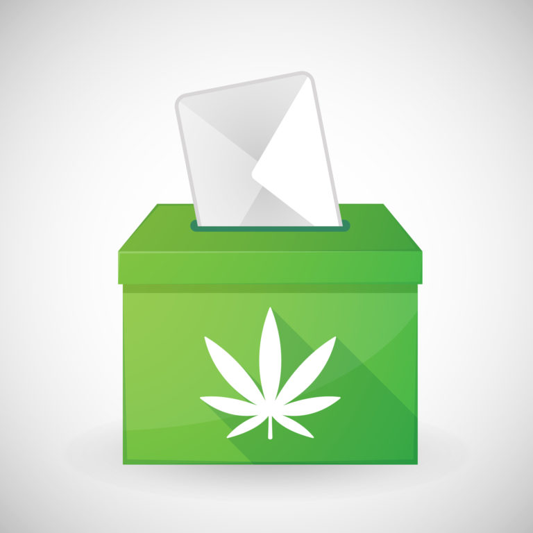 成人使用大麻的投票措施