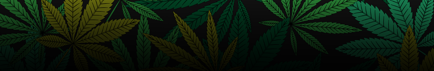 cannabis glossary banner