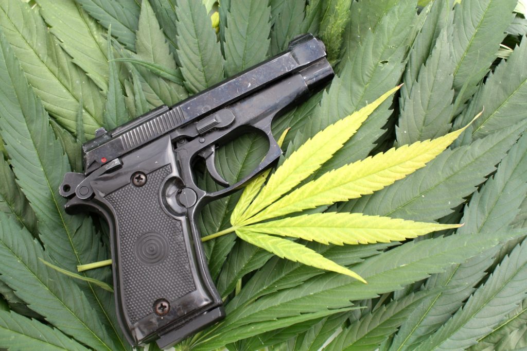 gun control cannabis