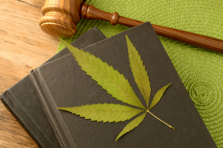 litigios sobre el cannabis