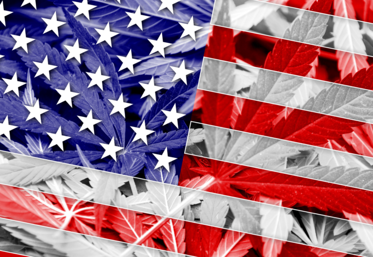 föderale cannabisgesetzgebung vorbereitungsgesetz