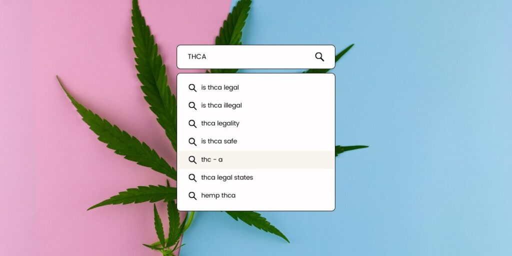 A cannabis leaf with a internet search square on top, representing THCA products.