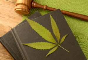 lawyer ethics marijuana cannabis