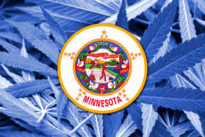 minnesota cannabis