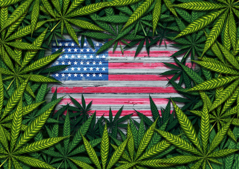 ncsl-richtlinie zur legalisierung von cannabis