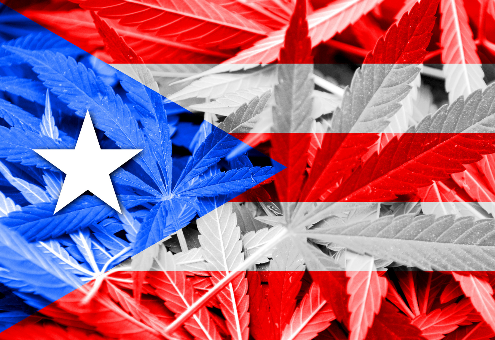 Is Marijuana Legal in Puerto Rico for Tourists? A Complete Guide