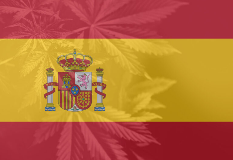 西班牙大麻